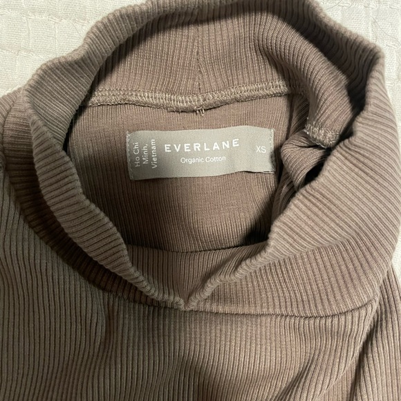 Everlane Ribbed Mock-neck Cropped Tank in Clay - Picture 4 of 6